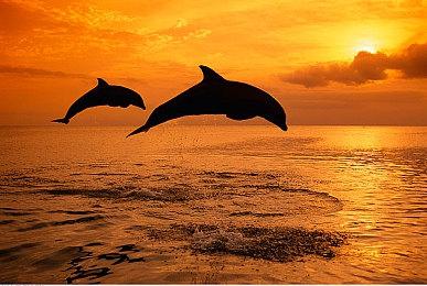 Unity公布游戏反语音骚扰监控工具Safe Voice